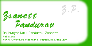 zsanett pandurov business card